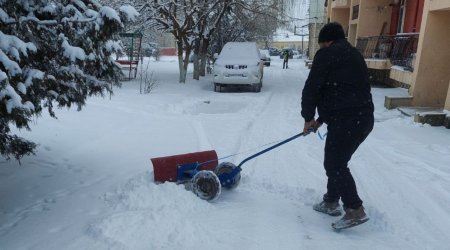 Qusarda qartəmizləyən qurğu hazırlandı – FOTO