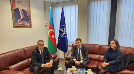 Azərbaycan və İsrailin NATO-dakı səfirləri regiondakı vəziyyəti müzakirə etdilər