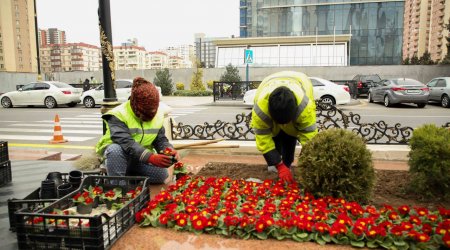 Xocalı soyqırımının 31-ci ildönümü ilə bağlı HAZIRLIQ işləri YEKUNLAŞIR - FOTO