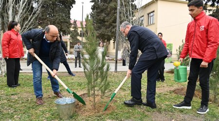 “Heydər Əliyev – 100” adlı ağacəkmə kampaniyasına start verildi - FOTO 