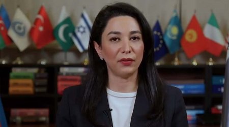 Ombudsman erməni separatçılarının törətdiyi təxribata münasibət bildirdi