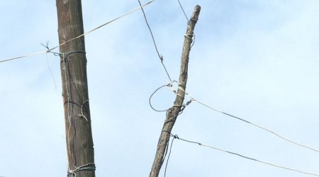 Baləkənin Poçtbinə kəndinin İŞIQ DİRƏKLƏRİ – “Çürüyüb başımıza tökülürlər” - FOTO