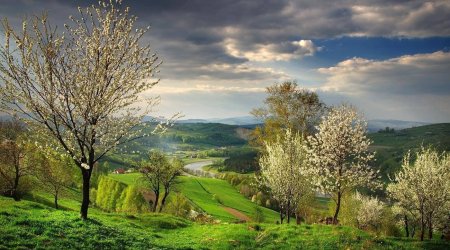 Apreldə hava iqlim normasına yaxın OLACAQ