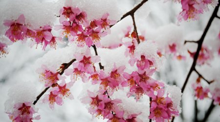 Bakıda hava iqlim normasından 2.2° aşağı olub