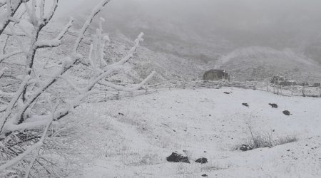 Şimalda son hava durumu - Qrızda 20 sm QAR