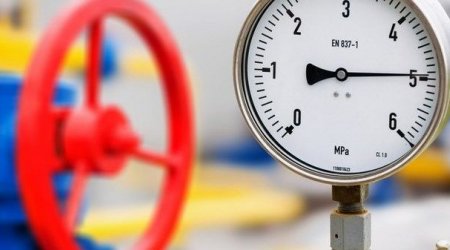 Bolqarıstana ixrac olunan Azərbaycan qazının dəyəri AÇIQLANDI