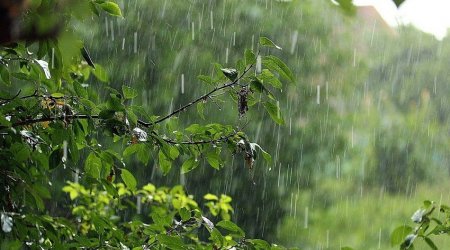 FAKTİKİ HAVA: Bəzi rayonlarda şimşək çaxıb, yağış yağıb