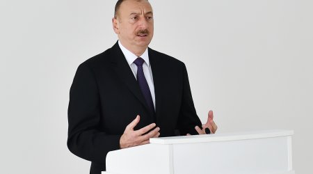 Prezident: “Ermənistan qəbul edib ki, iki ölkə arasında sərhədlər Alma-Ata Bəyannaməsi əsasında həll olunmalıdır” - VİDEO