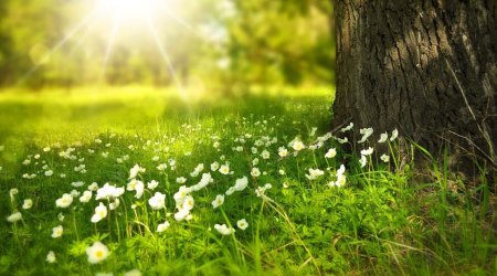 Bayram günlərinin hava proqnozu AÇIQLANDI 