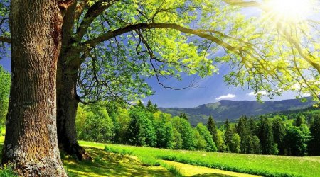 Sabah 35 dərəcə isti olacaq – PROQNOZ  