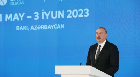 Prezident: “Azərbaycanın nəhəng bərpaolunan enerji potensialı var”