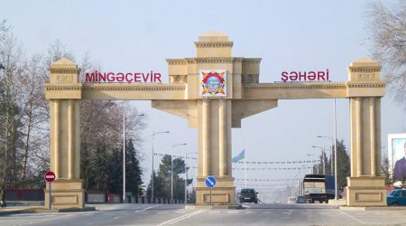 Mingəçevirdə ağacdan yıxılan kişi öldü 