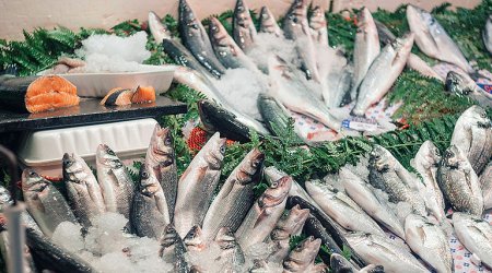 Azərbaycan Avropaya dəniz məhsullarının ixracına BAŞLAYACAQ