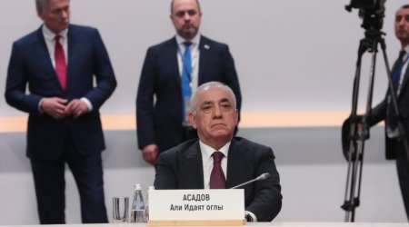 Əli Əsədov MDB Hökumət Başçıları Şurasının üzvlərinin Putinlə görüşündə iştirak edib