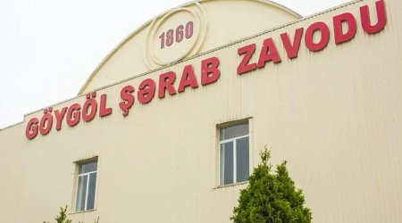 “Göygöl Şərab Zavodu” iflasa doğru gedir – İllik zərər 790 min manata ÇATDI – HESABAT