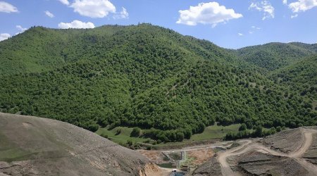 Söyüdlü kənd sakinlərinin müraciətləri araşdırılacaq