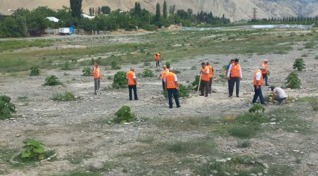 Göyçay çayının sahilində təmizlik aksiyası keçirilib - FOTO 