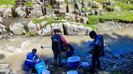 Söyüdlüdə kompleks ekoloji monitorinqlər DAVAM EDİR - FOTO 