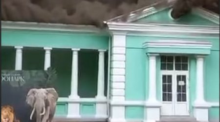 Rostov zooparkında yanğın olub - VİDEO 