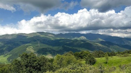 Laçının Qırxqız yaylağından yeni FOTOLAR 