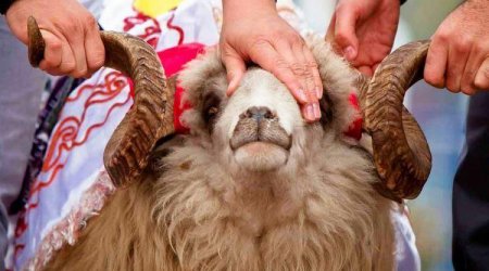 Bayramın 2-ci günündə qurbanlıq heyvanlar UCUZLAŞDI... - VİDEO 