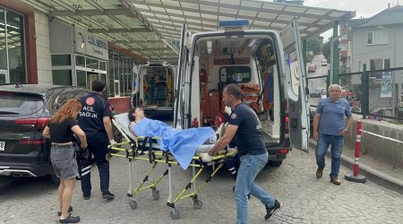 Türkiyənin 46 nəfər folklorçusu Gürcüstanda ZƏHƏRLƏNİB