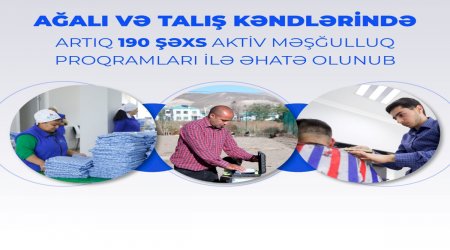 Ağalı və Talışda 190 sakin məşğulluq proqramı ilə əhatə OLUNUB 