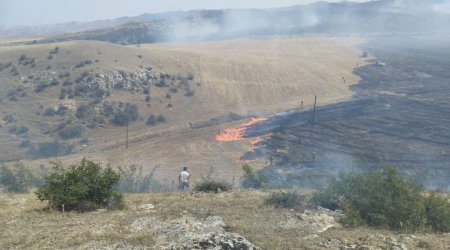 Xızıdakı yanğın əkin sahələrinə ZİYAN VURUB - FOTO/VİDEO  