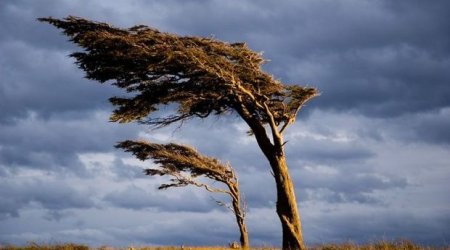 Sabah havanın temperaturu aşağı düşəcək - Külək əsəcək