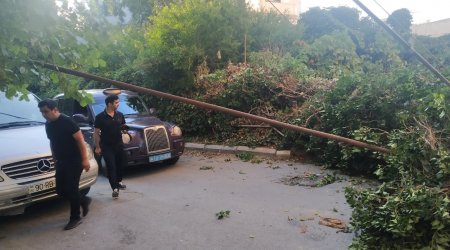 Bakıda ağac aşdı, yol bağlandı - FOTO/VİDEO