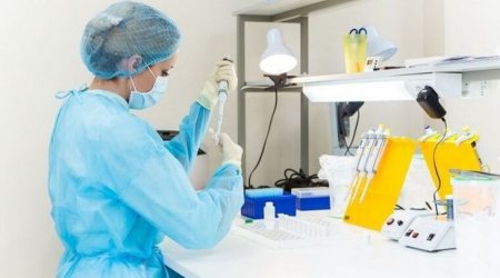 DNT analizi ilə bağlı YENİ QAYDA