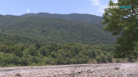 Zaqatalada itkin düşən turistlərlə bağlı YENİ MƏLUMAT – ÖZƏL/FOTO 