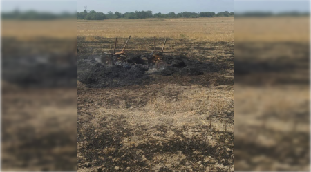 Daha bir qəsdən yanğıntörətmə faktının üstü AÇILDI – FOTO/VİDEO  