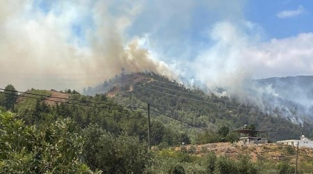 Hatayda meşə yanır: Helikopterlər cəlb edildi