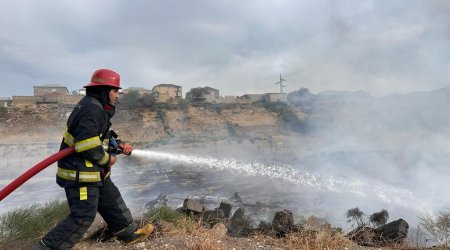 Qızılağac Milli Parkındakı yanğın SÖNDÜRÜLDÜ 