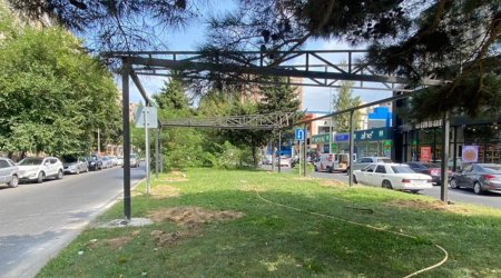 Paytaxtda yaşıllıq ərazi zəbt edilərək yerinə kafe tikilir? - FOTO 