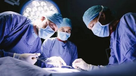 Qaraciyər, böyrək və sümük iliyi bu şərtlərlə transplantasiya OLUNACAQ 