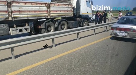 Goranboyda ağır qəza: 2 yük maşını TOQQUŞDU - VİDEO