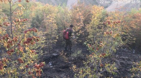 Ağsuda dağlıq ərazidə yanğının söndürülməsi işləri davam etdirilir - FOTO