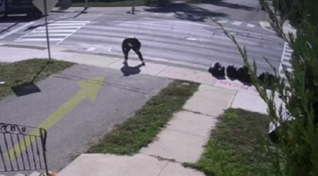 Ermənilər Kanadadakı Azərbaycan Evinə hücum etdi - VİDEO