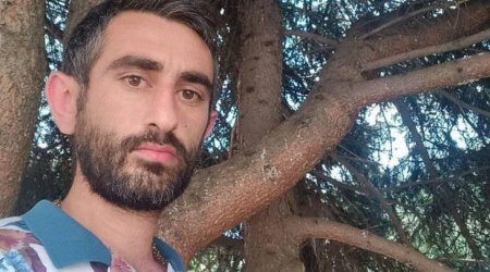 Erməni bloqer İlham Əliyevdən xahiş etdi: \