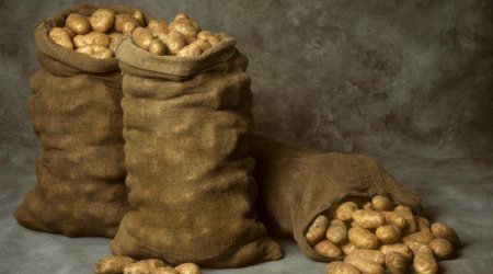 Vladivostokda iki gənc oğlan çürük kartofun iyindən öldü