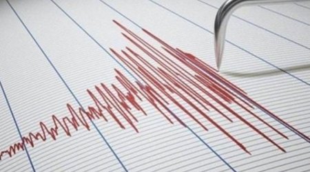 Bu il Azərbaycanda 3 595 təkan qeydə ALINIB 