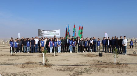 Müşfiqabadda da ağacəkmə aksiyası keçirildi - FOTO 