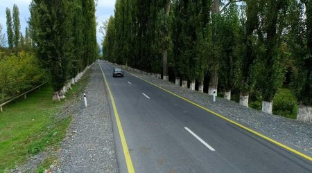 Zaqatalada bu yol yenidən quruldu - FOTO/VİDEO