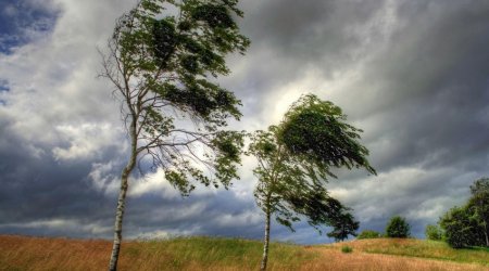 Hava ilə bağlı əhaliyə MÜHÜM XƏBƏRDARLIQ  