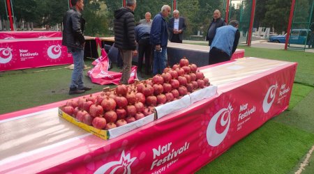 Göyçaylılar Nar bayramına hazırlaşırlar – FOTO