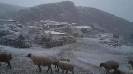 Quba qara BÜRÜNDÜ – FOTO