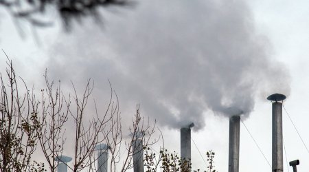 Qazaxda havanı çirkləndirən zavodun fəaliyyəti DAYANDIRILDI