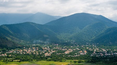 Zaqatalada nəvəsinin bıçaqladığı 77 yaşlı kişi öldü